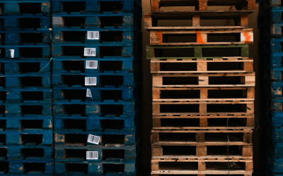 Prowadzenie bloga i pozycjonowanie strony producenta palet